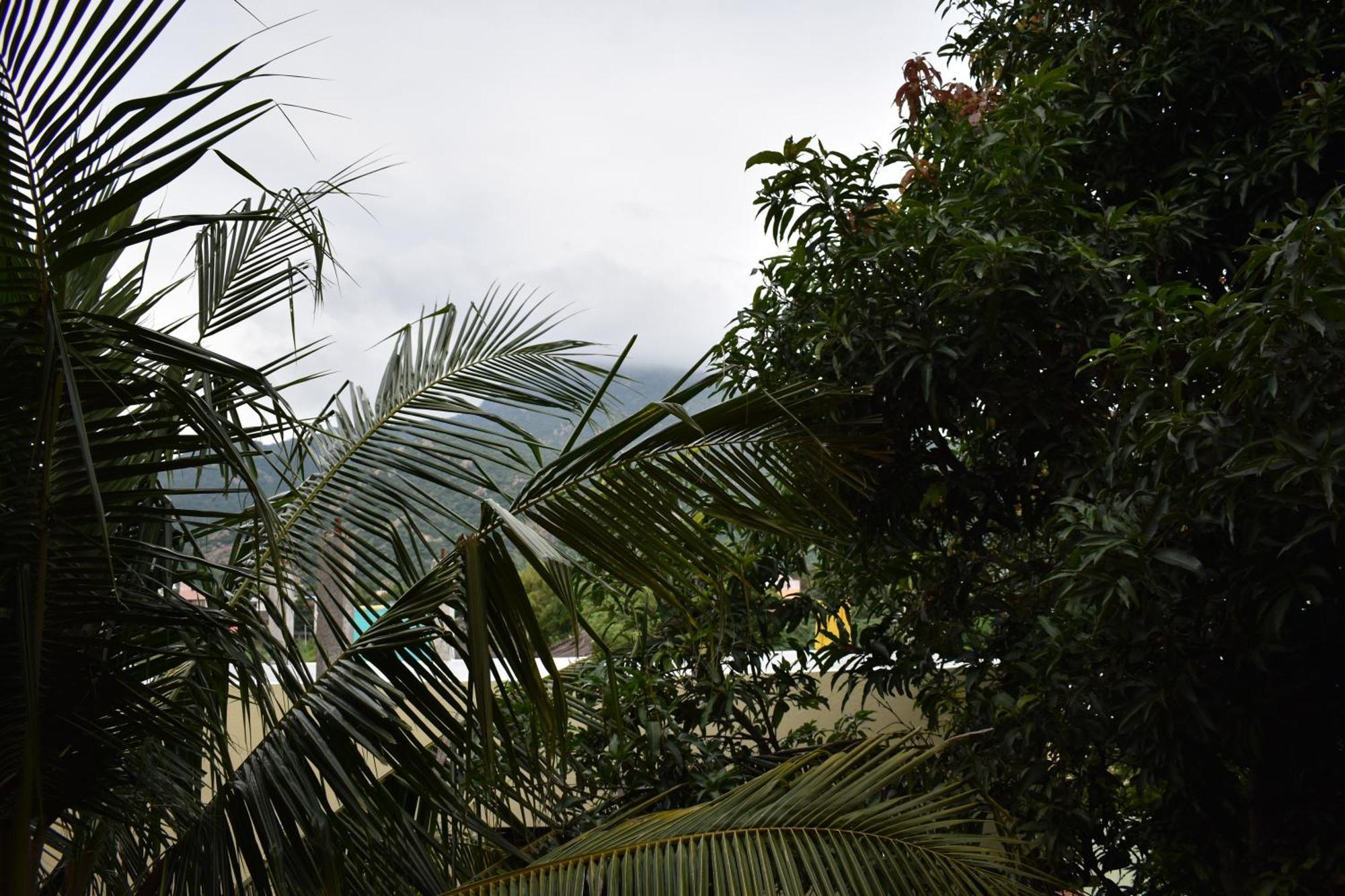 Rainbow Guest House Tiruvannāmalai Eksteriør bilde