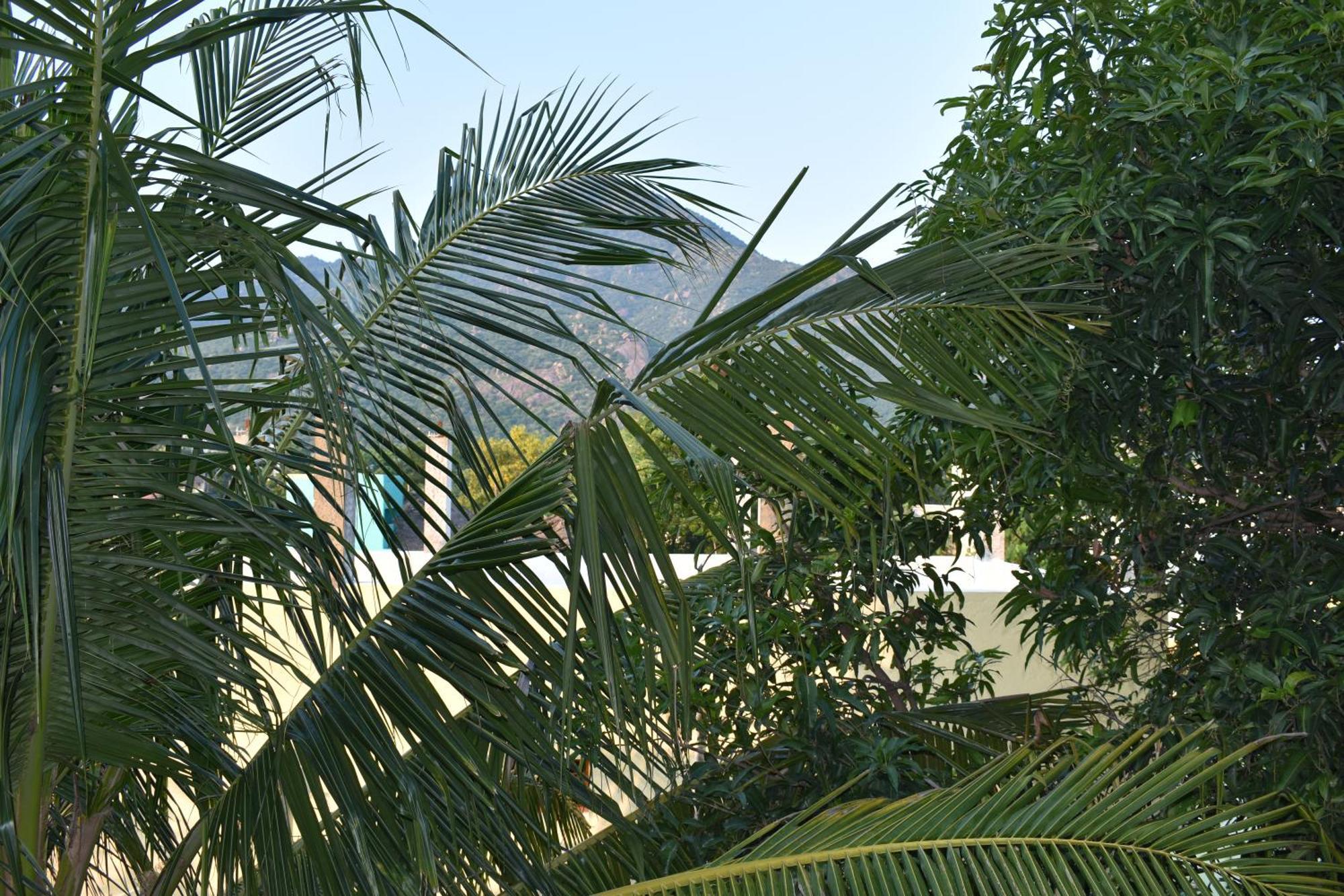 Rainbow Guest House Tiruvannāmalai Eksteriør bilde